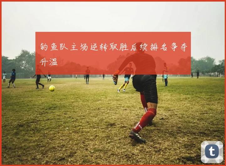 钓鱼队主场逆转取胜后续排名争夺升温