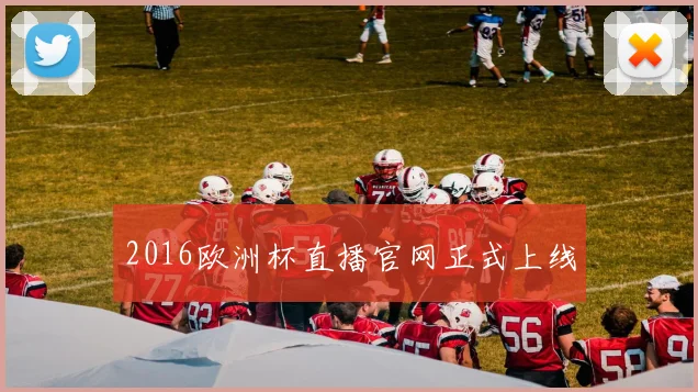 2016欧洲杯直播官网正式上线
