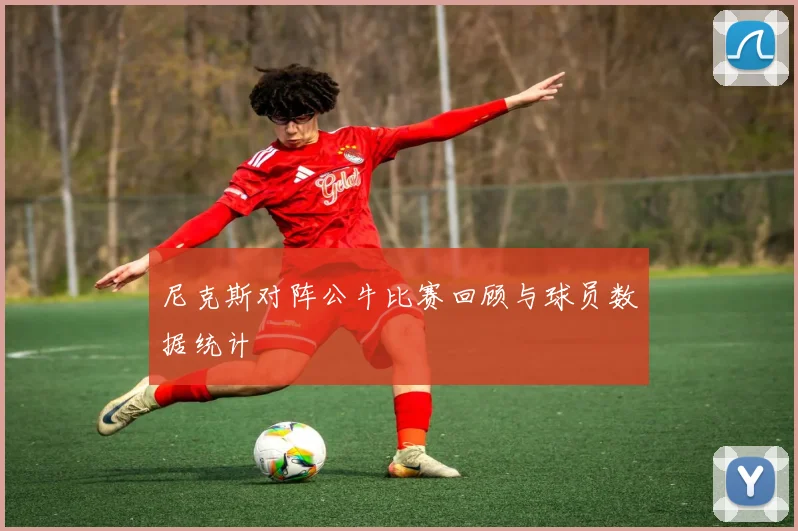 尼克斯对阵公牛比赛回顾与球员数据统计